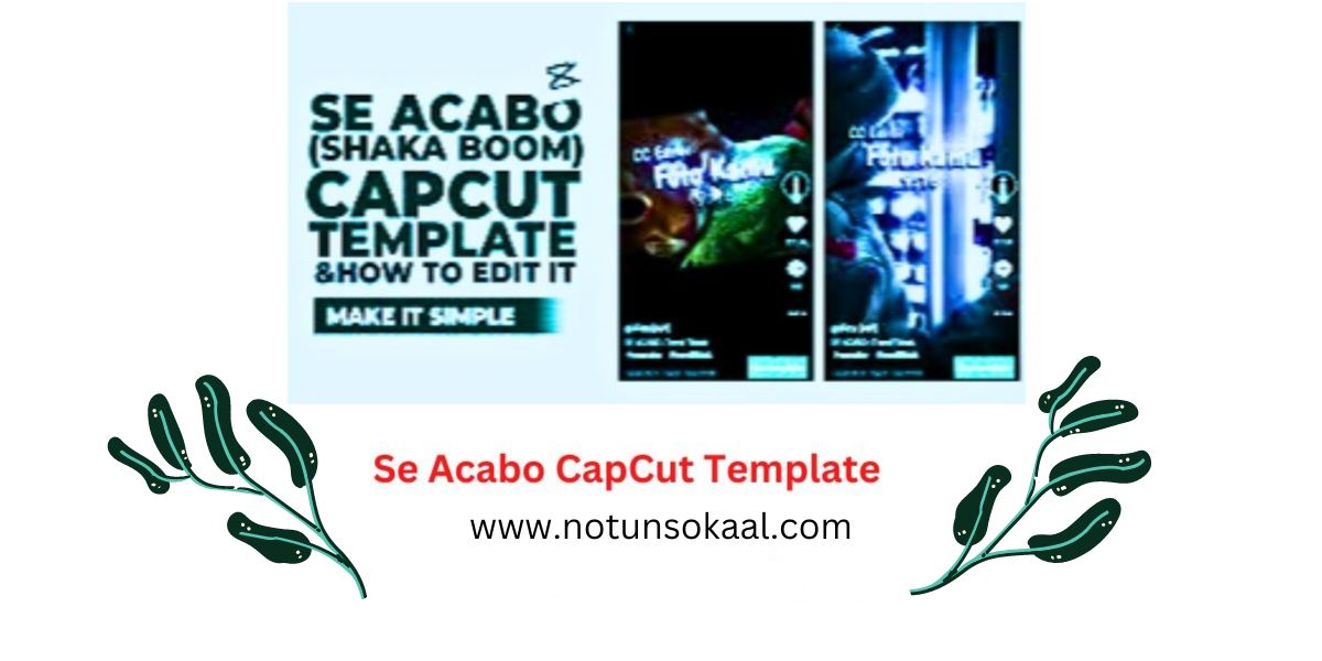 se acabo capcut template