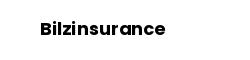 Bilzinsurance