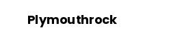 Plymouthrock