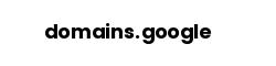 domains.google