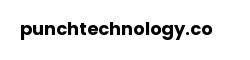punchtechnology.co
