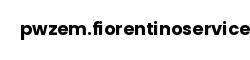 pwzem.fiorentinoservice