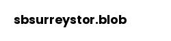 sbsurreystor.blob