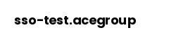 sso-test.acegroup