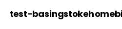 test-basingstokehomebid.abritas