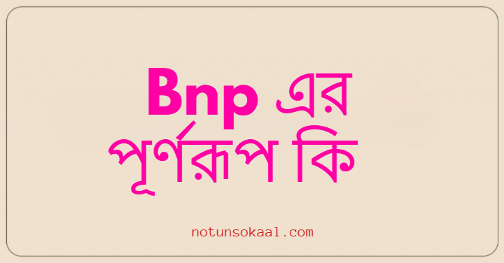 Bnp এর পূর্ণরূপ কি