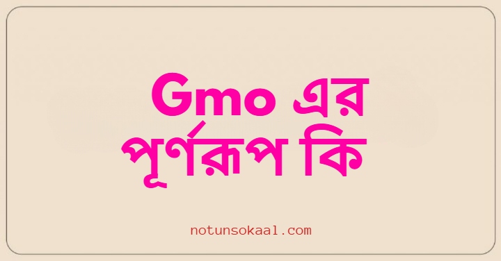 Gmo এর পূর্ণরূপ কি