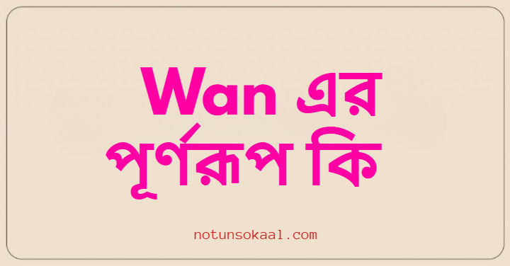 Wan এর পূর্ণরূপ কি