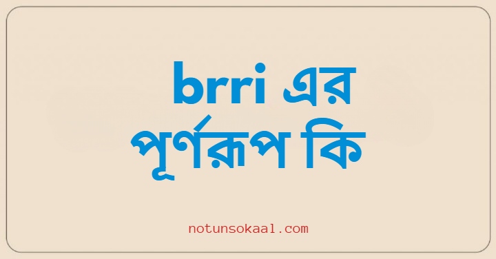 brri এর পূর্ণরূপ কি