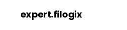 expert.filogix