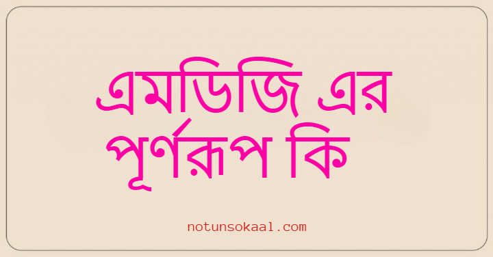 এমডিজি এর পূর্ণরূপ কি