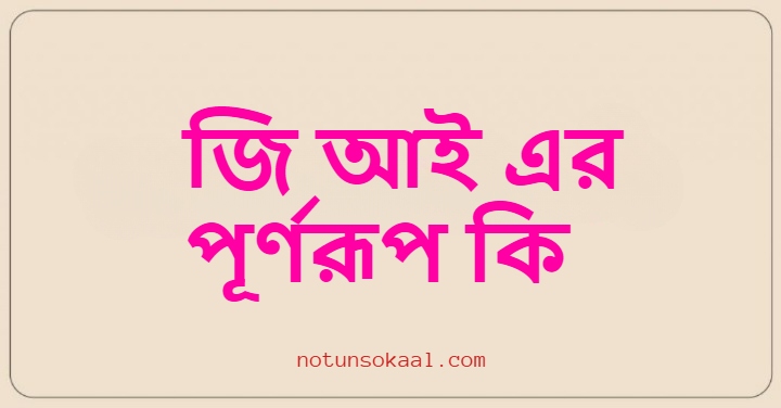 জি আই এর পূর্ণরূপ কি